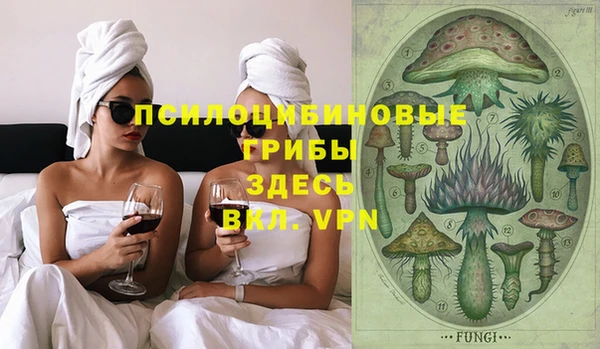 крисы Балахна