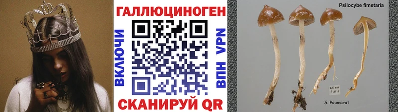 Галлюциногенные грибы Magic Shrooms  Светлый 